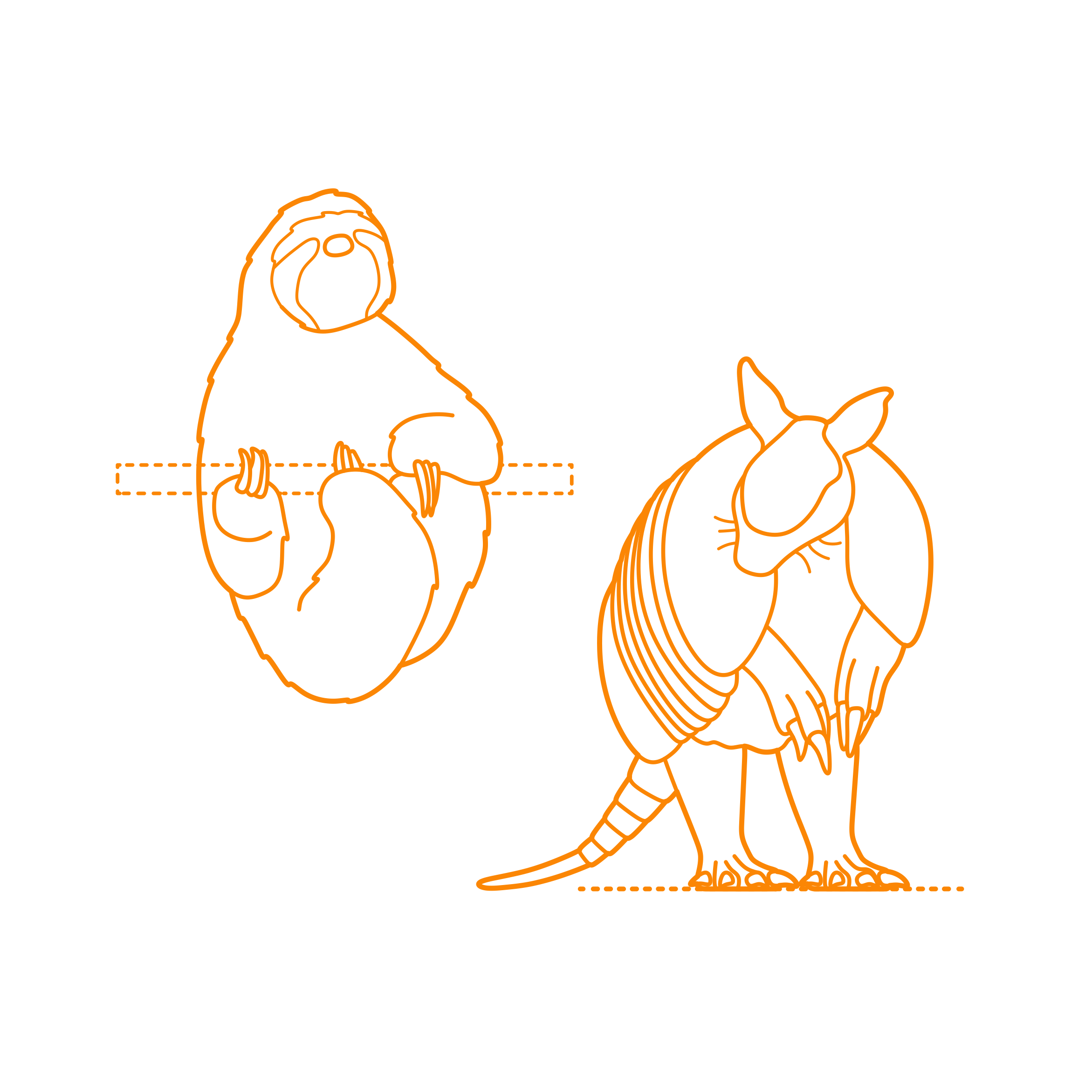 Animals Xenarthrans Editable Svg Line Art Free Vectors